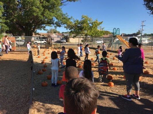 Kindergartners so happy to get a pumpkin.