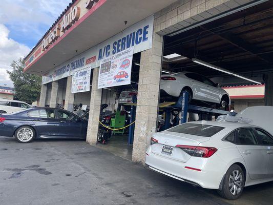 The place that fix it all including German cars. They have a BMW and a Mercedes master mechanic here.