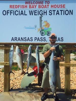 4ft Kingfish Mackerel