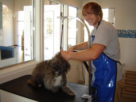 Grooming stations at different heights to make blow drying an ease