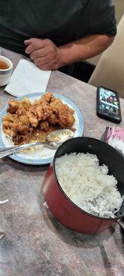 Sesame Chicken & white rice