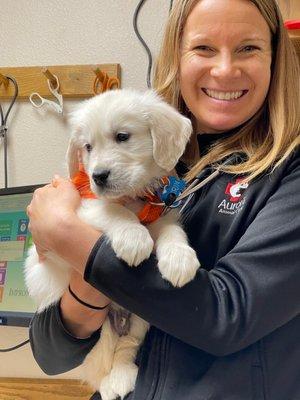 Dr Preston at Aurora Animal Clinic with our 8 week old puppy. Dr Preston will be our go to from now on with all our pets.