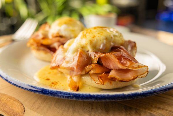 Eggs Benedict