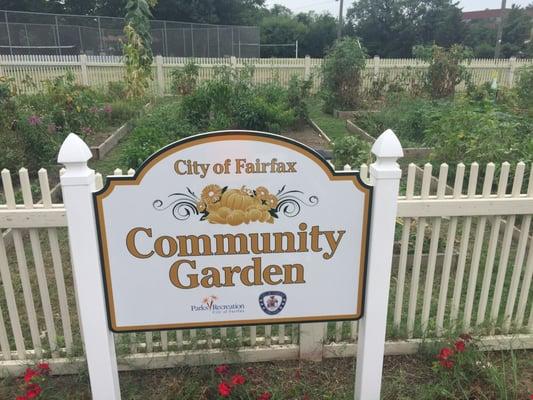 Community Garden