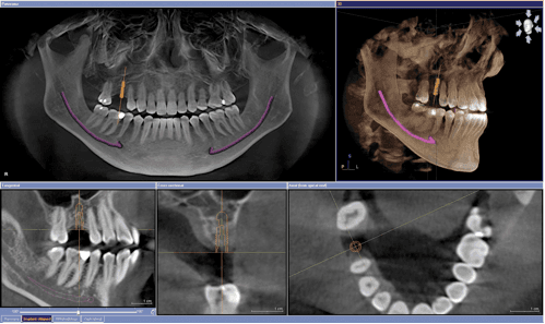 Ebi Nikjoo ,DDS