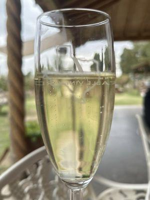 Glad of Alta Langa (Sparkling Dry Brut) enjoyed on the patio