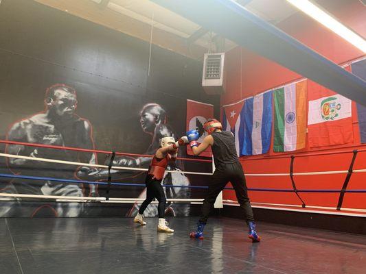 TEAMALEXIS831  sparring session@ gladiators