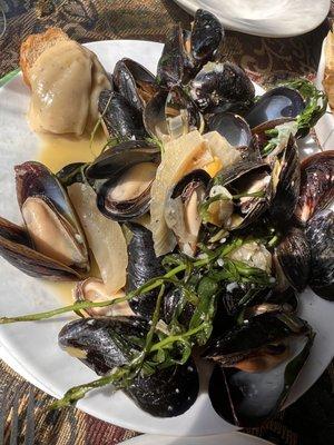 Les Moules Au Fenouil