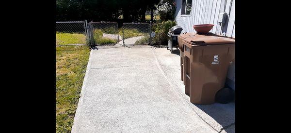 Concrete Cleaning After