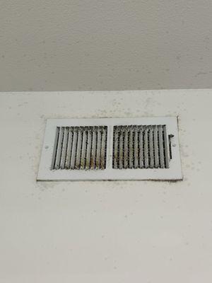 This is the vent to my bedroom. Mold came from there and appeared on all of my walls.