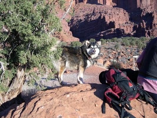 Lady Roxanne waiting on a hike.