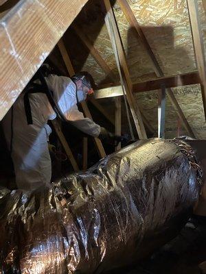 Sanitizing an attic space after a severe rodent infestation was found. Insulation was replaced with new cellulose R38