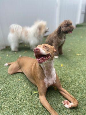 My little girl happy at daycare :)