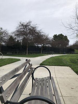 Tennis courts behind the trees