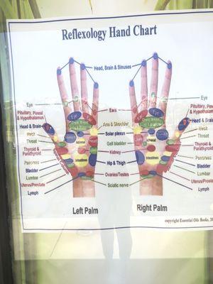 Here are some pressure point posters out front which identify target places in other parts of the body.