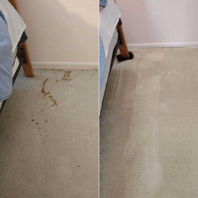 Carpet stains - before & after