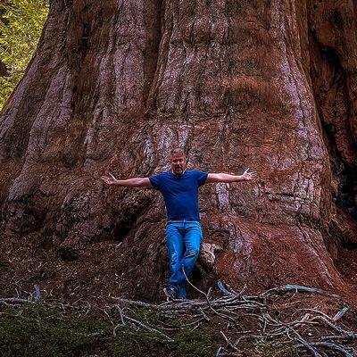 A close encounter with a giant sequoia tree might change your idea of the meaning of "big."