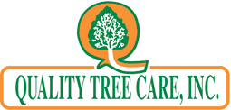 Quality Tree Care