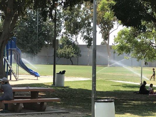 It's 1:50pm in July, why are they watering? This should be done before 9am. Step it up Whittier.