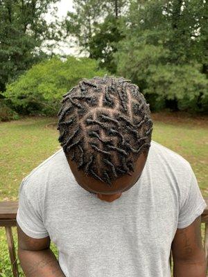 Starter Locs