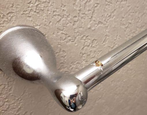 Dead, dried bug carcass stuck to towel rack