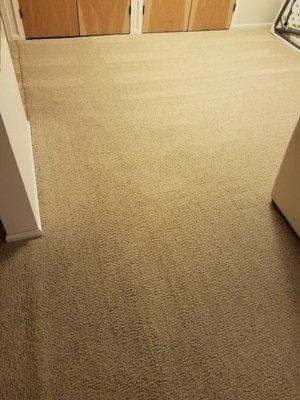 High traffic zone of carpet, cleaned up nicely.