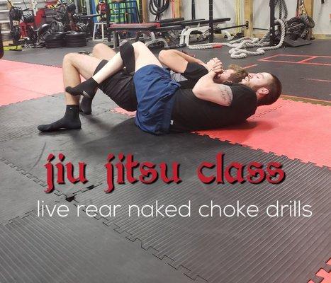 Jiu jitsu class for the Chicago western suburbs 

Noahg76@gmail.com for more information