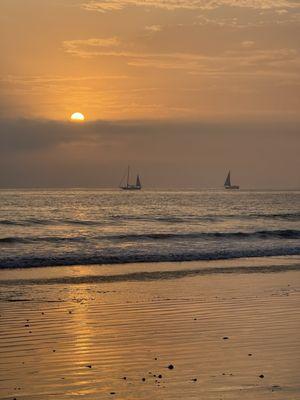 Venice Beach