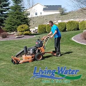 Weekly mow services starting at $29.95.