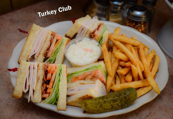 Turkey club- its a triple decker with fries coleslaw and pickle... you can swap fries out for sweet potato fries, onion rings, cheese fries