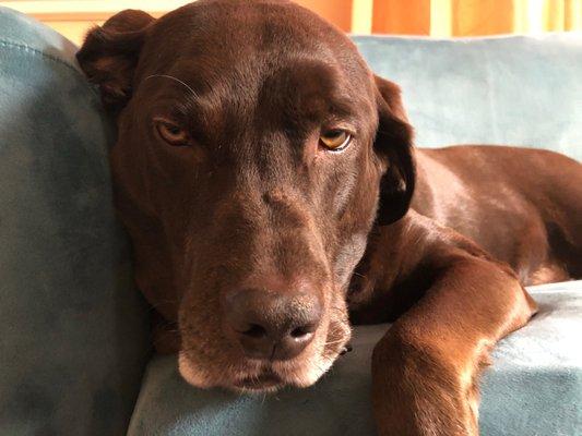 Huck on his chair.