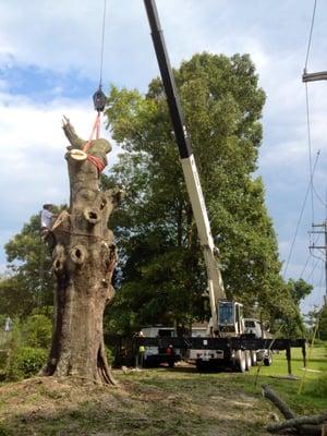 With the use of our crane, we can cost effectively crane out your trees leaving your yard virtually untouched.