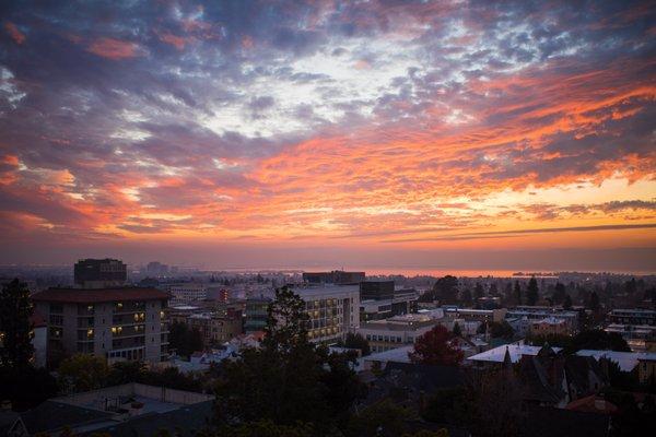 View from the roof of the PSR building