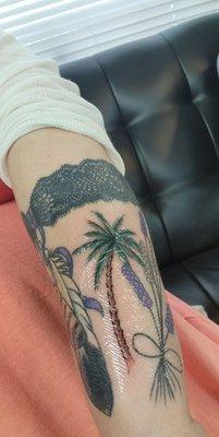 My palm tree