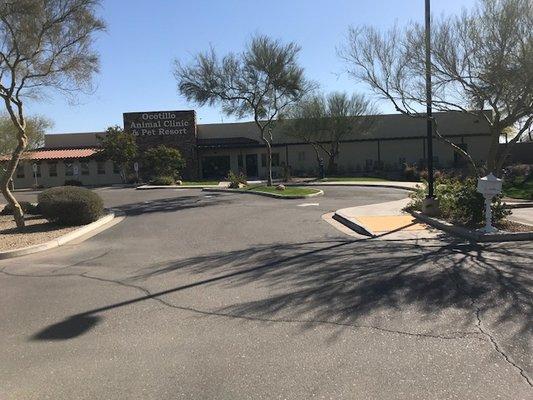 Ocotillo Animal Clinic & Pet Resort