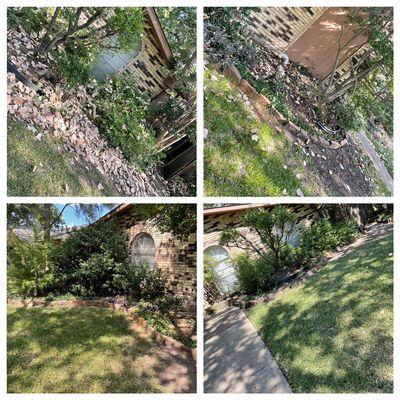 Yard clean up/ debris removal