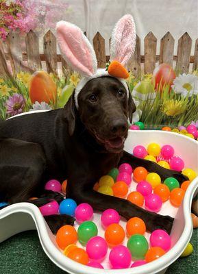 Hoppy Easter - another fun enrichment