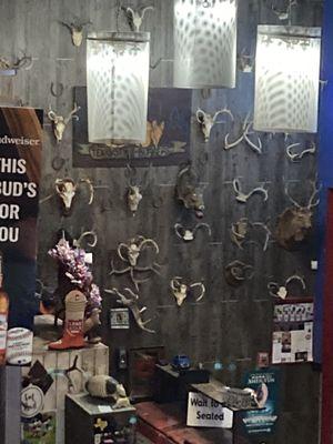 A wall of antlers, right of entry, a sample that adorn the casual establishment.