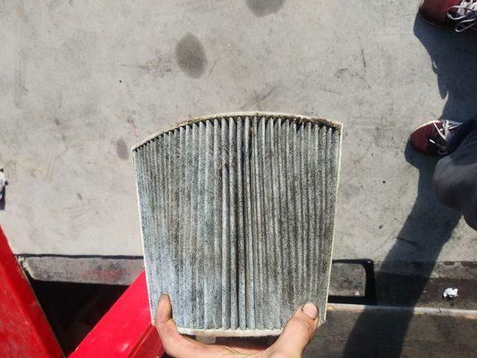 Cabin air filters need to be replaced every other oil change If not they will look like this and your AC will have random unpleasant scents.