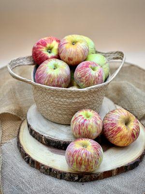 Freshly Harvested Gravenstein Apples