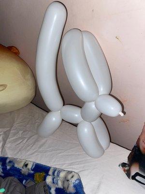 Balloon animal (dog)