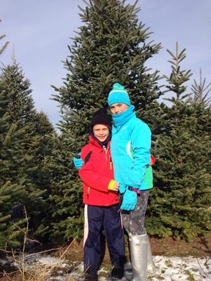 Family Christmas tree 2014. A beautiful 12ft Frazier Fir. Gorgeous.