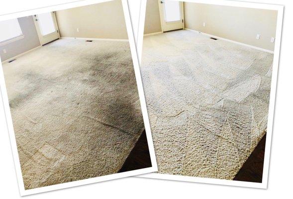 Before and After Transformation: A Recent Bee-Kleen Colorado Springs Carpet Cleaning Project.