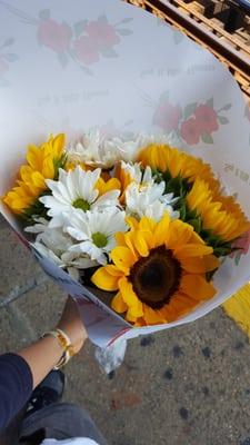 Sunflowers & Daisies