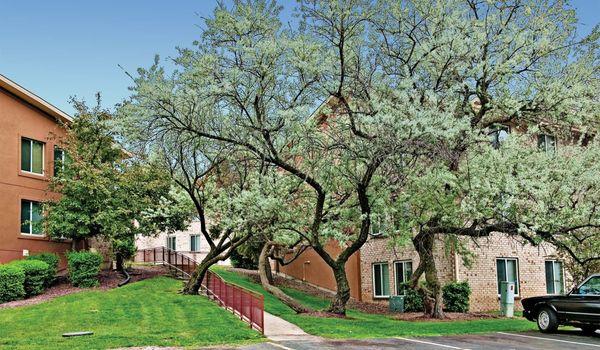 Mature trees and landscaped grounds