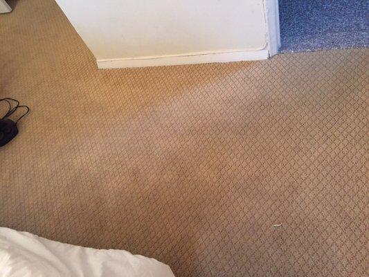 This is my carpet after it was cleaned