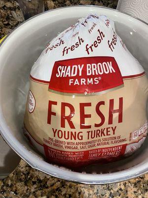 My FROZEN turkey!