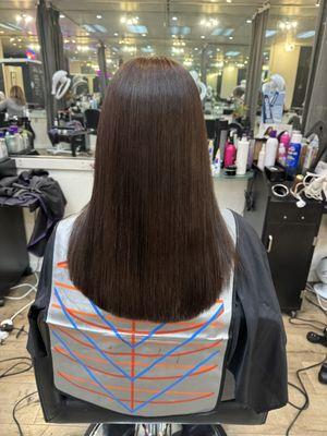 Color# Natural Brown # Cut # Joanne