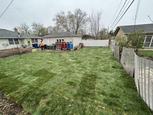 Cleaned up entire yard graded for perfect water flow and install fresh sod