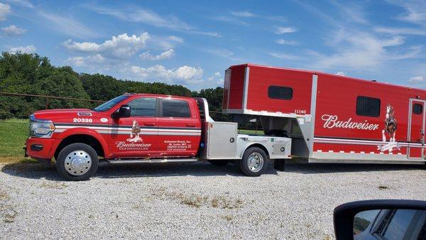 A Bud Ranch truck with a horse trailer in the parking lot. All their equipment is in pristine condition.